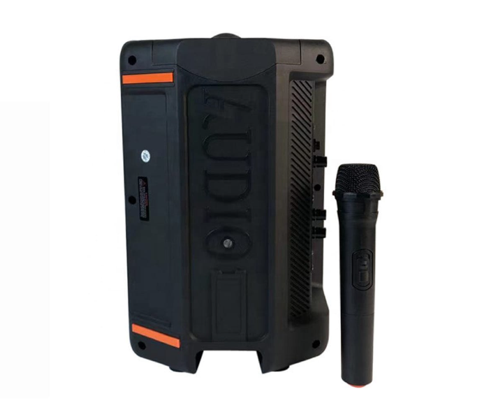 Portable Speaker Wireless With TWS Microphone Radio Function