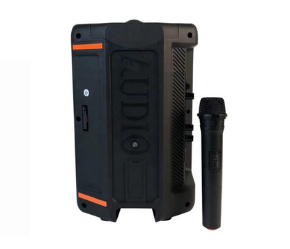 Portable Speaker Wireless With TWS Microphone Radio Function
